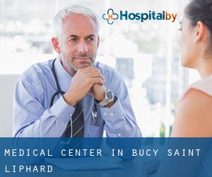 Medical Center in Bucy-Saint-Liphard