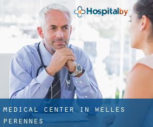 Medical Center in Welles-Pérennes