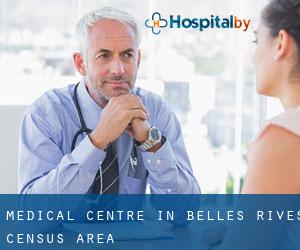 Medical Centre in Belles-Rives (census area)