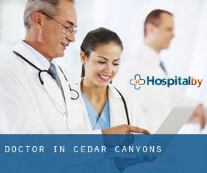 Doctor in Cedar Canyons