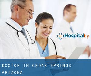 Doctor in Cedar Springs (Arizona)