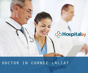 Doctor in Cornée-Laliat