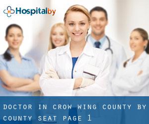 Doctor in Crow Wing County by county seat - page 1