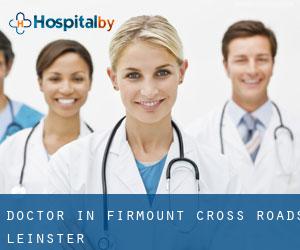 Doctor in Firmount Cross Roads (Leinster)