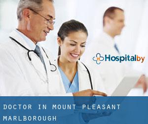 Doctor in Mount Pleasant (Marlborough)