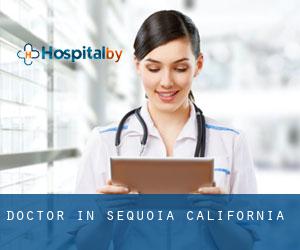 Doctor in Sequoia (California)