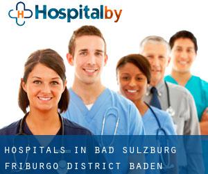 hospitals in Bad Sulzburg (Friburgo District, Baden-Württemberg)