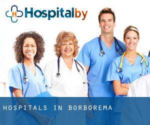 hospitals in Borborema