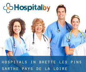 hospitals in Brette-les-Pins (Sarthe, Pays de la Loire)