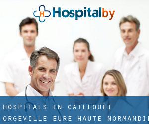 hospitals in Caillouet-Orgeville (Eure, Haute-Normandie)