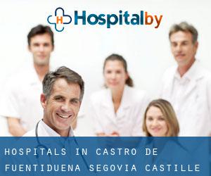 hospitals in Castro de Fuentidueña (Segovia, Castille and León)