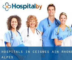 hospitals in Ceignes (Ain, Rhône-Alpes)