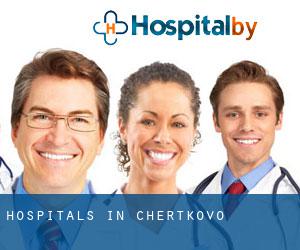 hospitals in Chertkovo