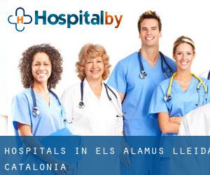 hospitals in els Alamús (Lleida, Catalonia)