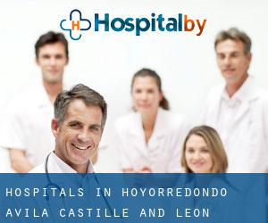 hospitals in Hoyorredondo (Avila, Castille and León)