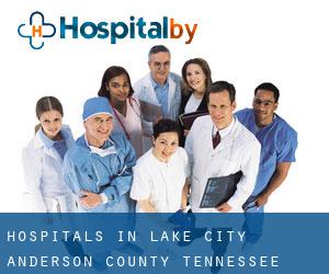 hospitals in Lake City (Anderson County, Tennessee)