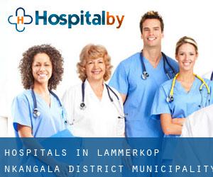hospitals in Lammerkop (Nkangala District Municipality, Mpumalanga)