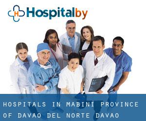 hospitals in Mabini (Province of Davao del Norte, Davao)