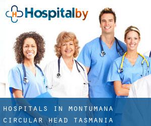 hospitals in Montumana (Circular Head, Tasmania)