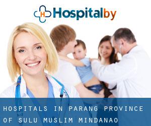 hospitals in Parang (Province of Sulu, Muslim Mindanao)