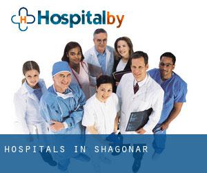 hospitals in Shagonar