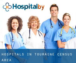hospitals in Touraine (census area)
