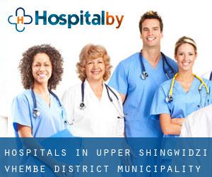 hospitals in Upper Shingwidzi (Vhembe District Municipality, Limpopo)