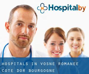 hospitals in Vosne-Romanée (Cote d'Or, Bourgogne)