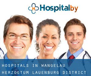 hospitals in Wangelau (Herzogtum Lauenburg District, Schleswig-Holstein)